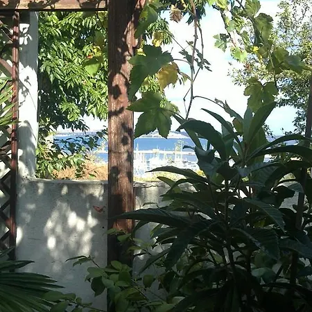 Fanari Vilă *